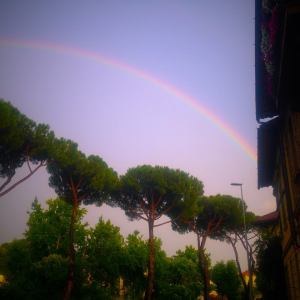 Mediterranean pines along our street. Italy isn't always rainbows and broccoli trees, though!